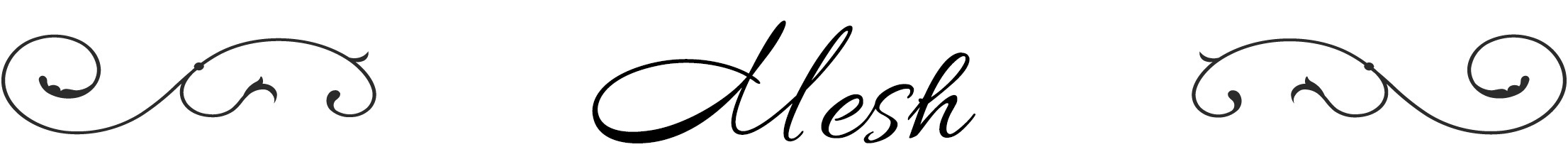 ランダムメッシュシリーズ 新作ジョリージョリ